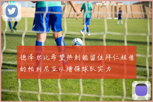 德泽尔比希望热刺能留住拜仁租借的帕利尼亚以增强球队实力